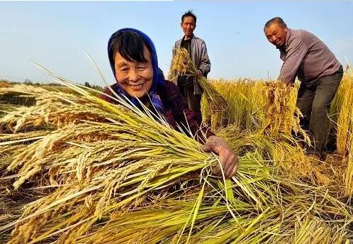 重磅！繼包產(chǎn)到戶之后，我國(guó)農(nóng)村又一次迎來重大改革