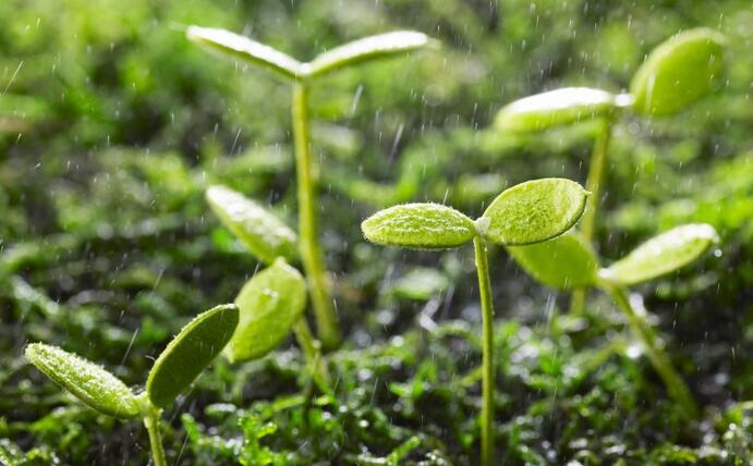 動態(tài) | 生物刺激劑多重效果大揭秘，可減少百萬噸氮肥的投入！